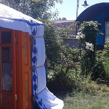 Campo de lujo Yourte Grain De Folie Waben